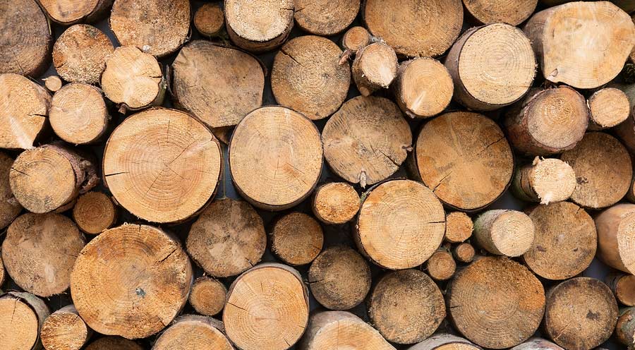 Best Types of Wood for Retail Sales Displays | McIntyre