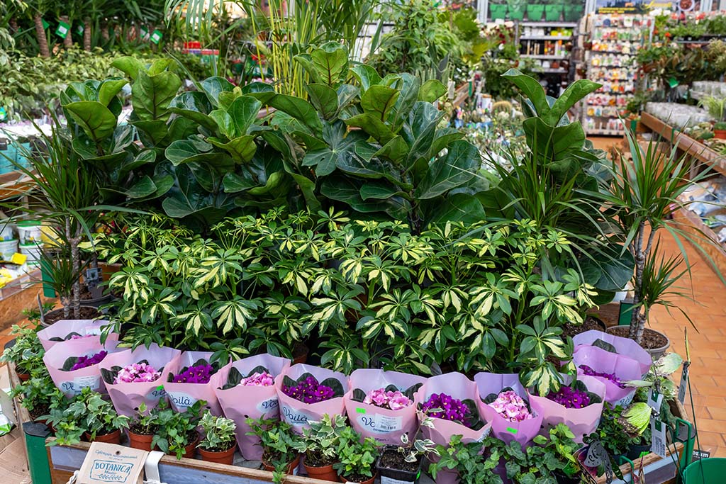 5 Creative Ideas for Winning Retail Garden Center Displays