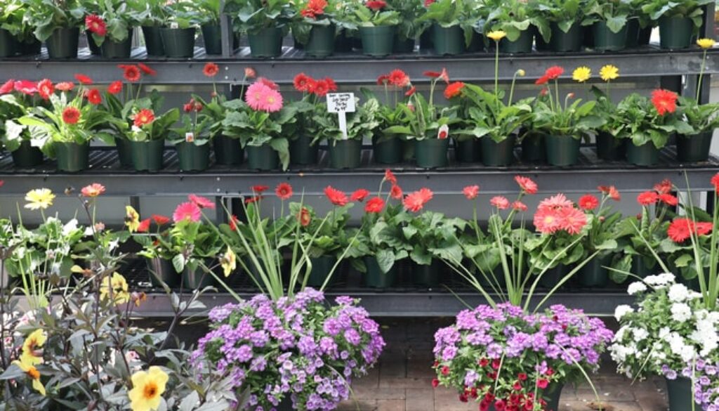 commercial-plant-display-racks