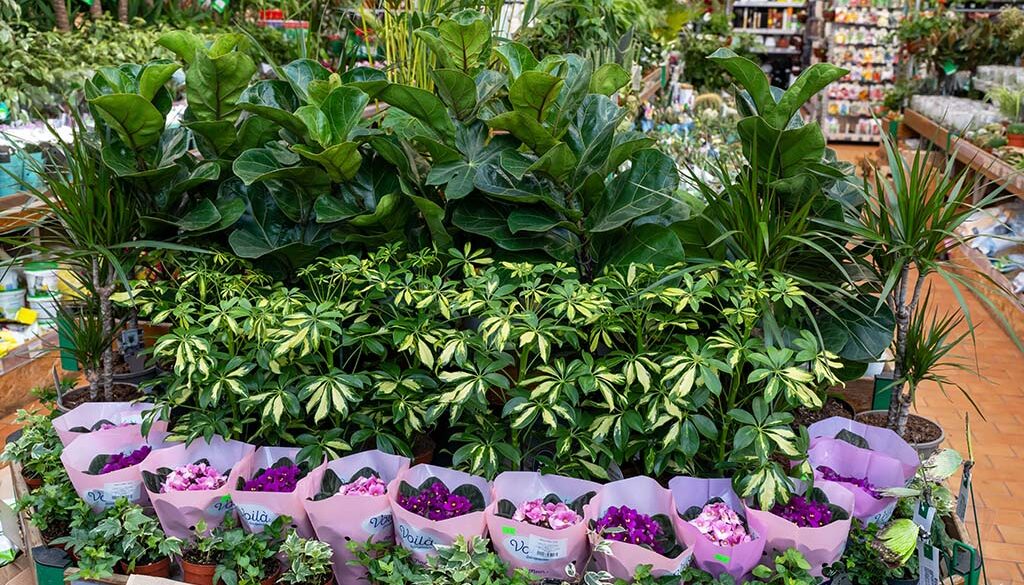 five-creative-ideas-for-winning-retail-garden-center-displays