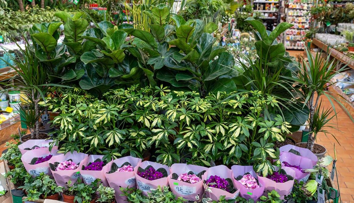 five-creative-ideas-for-winning-retail-garden-center-displays